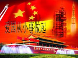 红色鹦鹉逃脱